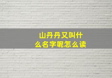 山丹丹又叫什么名字呢怎么读