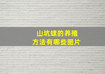 山坑螺的养殖方法有哪些图片