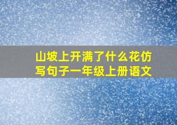 山坡上开满了什么花仿写句子一年级上册语文