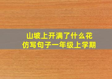 山坡上开满了什么花仿写句子一年级上学期