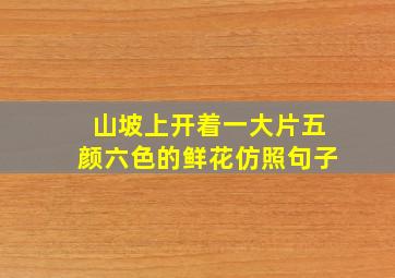 山坡上开着一大片五颜六色的鲜花仿照句子