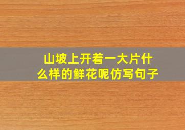 山坡上开着一大片什么样的鲜花呢仿写句子