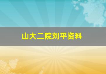 山大二院刘平资料