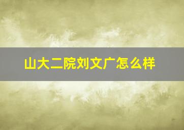 山大二院刘文广怎么样