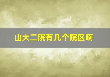 山大二院有几个院区啊