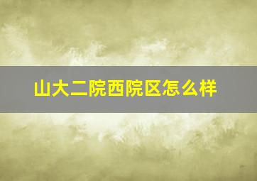 山大二院西院区怎么样