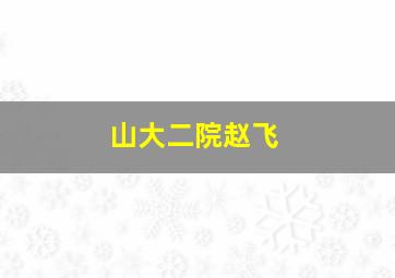 山大二院赵飞