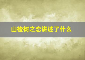 山楂树之恋讲述了什么