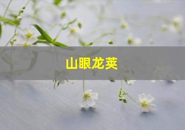 山眼龙荚