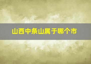 山西中条山属于哪个市