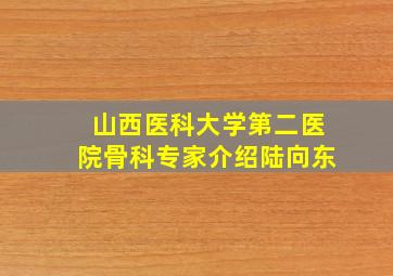 山西医科大学第二医院骨科专家介绍陆向东