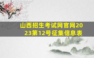 山西招生考试网官网2023第12号征集信息表