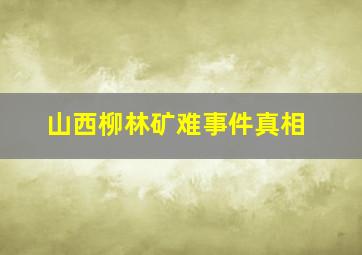 山西柳林矿难事件真相