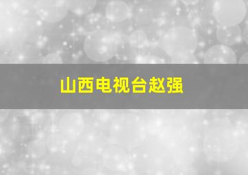 山西电视台赵强