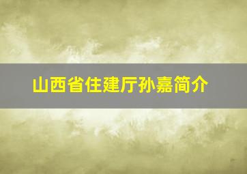 山西省住建厅孙嘉简介