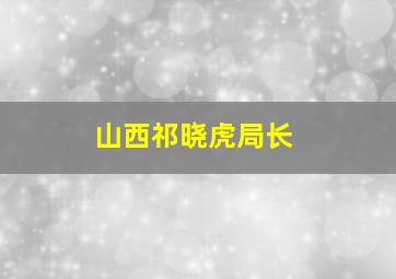 山西祁晓虎局长