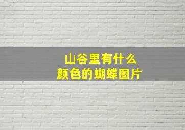 山谷里有什么颜色的蝴蝶图片