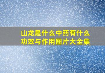 山龙是什么中药有什么功效与作用图片大全集