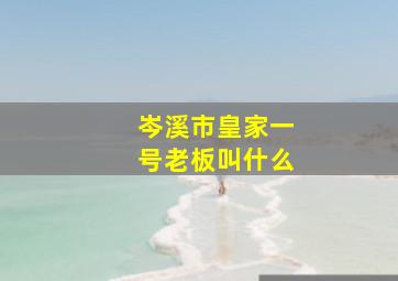 岑溪市皇家一号老板叫什么