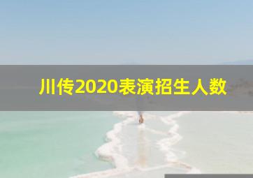 川传2020表演招生人数