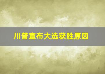 川普宣布大选获胜原因