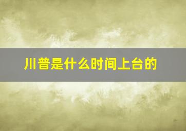 川普是什么时间上台的