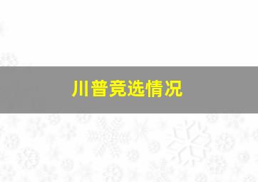 川普竞选情况