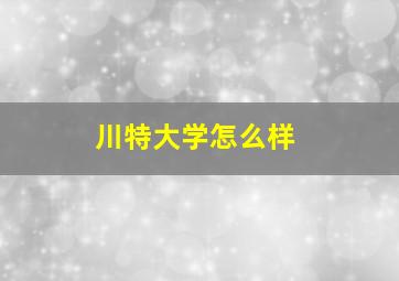 川特大学怎么样