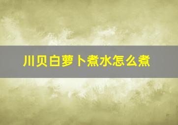 川贝白萝卜煮水怎么煮