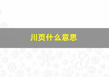 川页什么意思