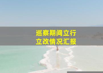 巡察期间立行立改情况汇报