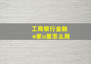 工商银行金融e家u盾怎么用