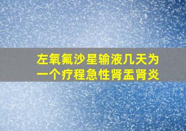 左氧氟沙星输液几天为一个疗程急性肾盂肾炎