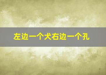 左边一个犬右边一个孔