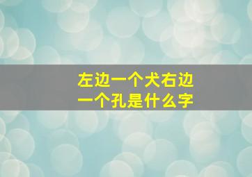 左边一个犬右边一个孔是什么字