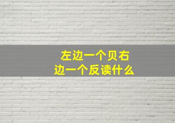 左边一个贝右边一个反读什么