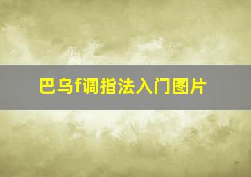 巴乌f调指法入门图片