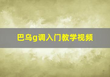 巴乌g调入门教学视频