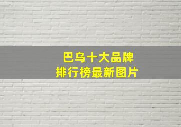 巴乌十大品牌排行榜最新图片