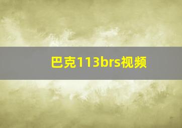 巴克113brs视频