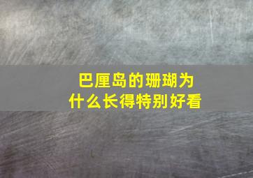 巴厘岛的珊瑚为什么长得特别好看