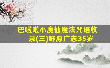 巴啦啦小魔仙魔法咒语收录(三)野原广志35岁