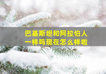 巴基斯坦和阿拉伯人一样吗现在怎么样啦