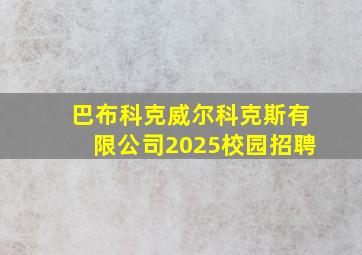 巴布科克威尔科克斯有限公司2025校园招聘