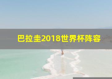 巴拉圭2018世界杯阵容