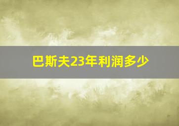 巴斯夫23年利润多少