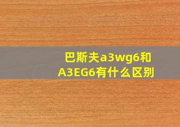 巴斯夫a3wg6和A3EG6有什么区别