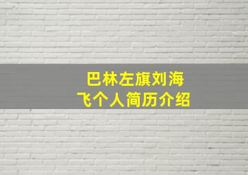 巴林左旗刘海飞个人简历介绍