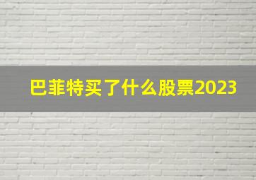 巴菲特买了什么股票2023