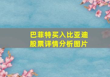 巴菲特买入比亚迪股票详情分析图片